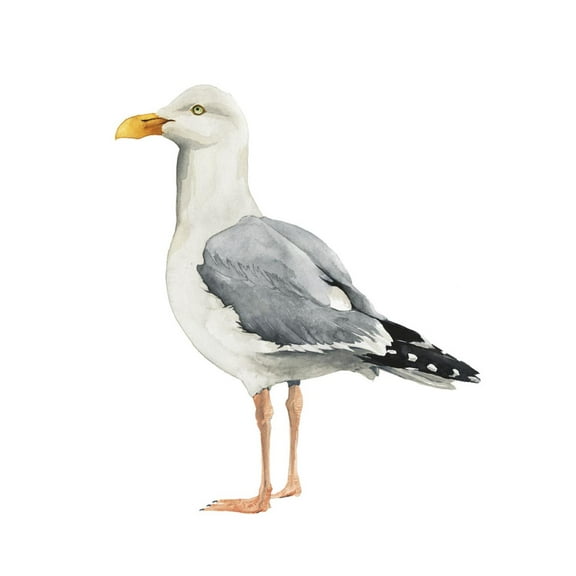 Art.com Sea Bird II Art Print by Grace Popp, 12" x 16"