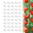 thumbnail image 1 of Clips Para Plantas, Suministros Para Plantas Clips De Soporte Para Tallos Para Plantas De Invernadero Para Escenas Donde Es Necesario Fijar Raíces Y Enredaderas Para Jardín, 1 of 7