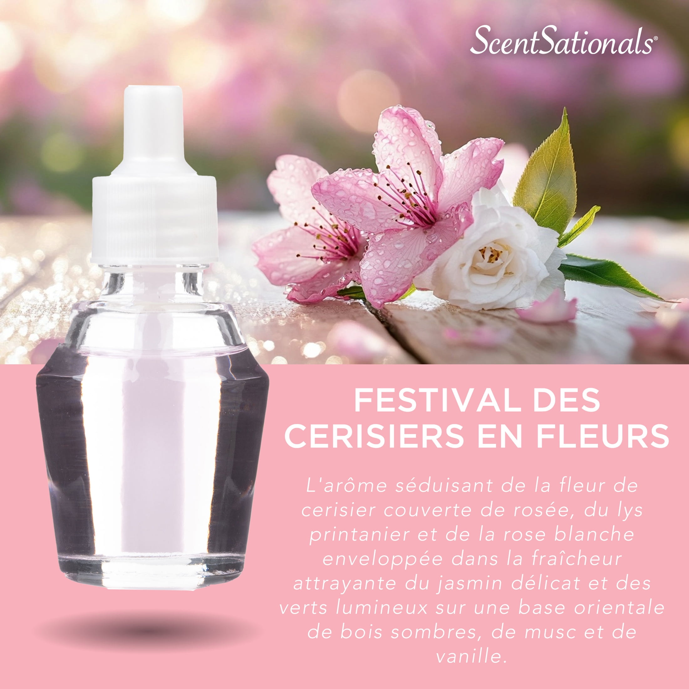 Huile Scent Charm Scentsationals - Cherry Blossom Festival