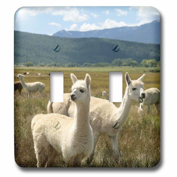 3dRose, Victory Ranch Alpaca farm, Mora, New Mexico - US32 JMR0361 - Julien McRoberts, double toggle switch