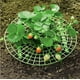 thumbnail image 4 of Paquete de 6 estantes de plástico para fresas, estante de plástico para verduras, marco impermeable para cultivo de frutas, jaulas, accesorios para estantes de fresas, 4 of 5