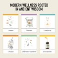 thumbnail image 2 of Suplementos de hierro para mujeres - Hierro fermentado Koji con alga nori, c&#2013265921scara de lim&#2013265923n y acerola - Suplemento suave para el est&#2013265923mago, la sangre, 2 of 8