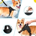 thumbnail image 3 of pechera con correa talla M 54-67cm Poli Pets PP-PCCBK-M, 3 of 10