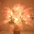 thumbnail image 3 of Rosnek Firework Lights 100 LED Feather Starburst String Lights Battery Operated 8 Modes Remote Control Hanging Decorative Fairy Light, 3 of 7