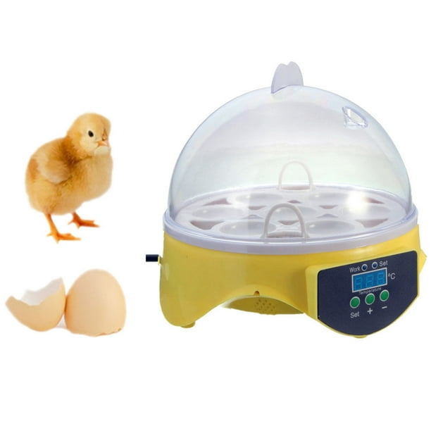 Zimtown 7 Eggs Mini Digital Egg Incubator Poultry Hatcher Chicken Goose