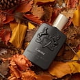 thumbnail image 3 of Perfume PARFUMS DE MARLY Carlisle Eau De Parfum 125 ml para hombre, 3 of 4
