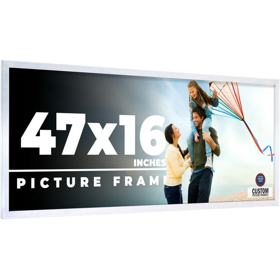 47x16 Frame Silver Stainless Steel Solid Wood Picture Frame | 0.75 Inch Moulding Width | Includes