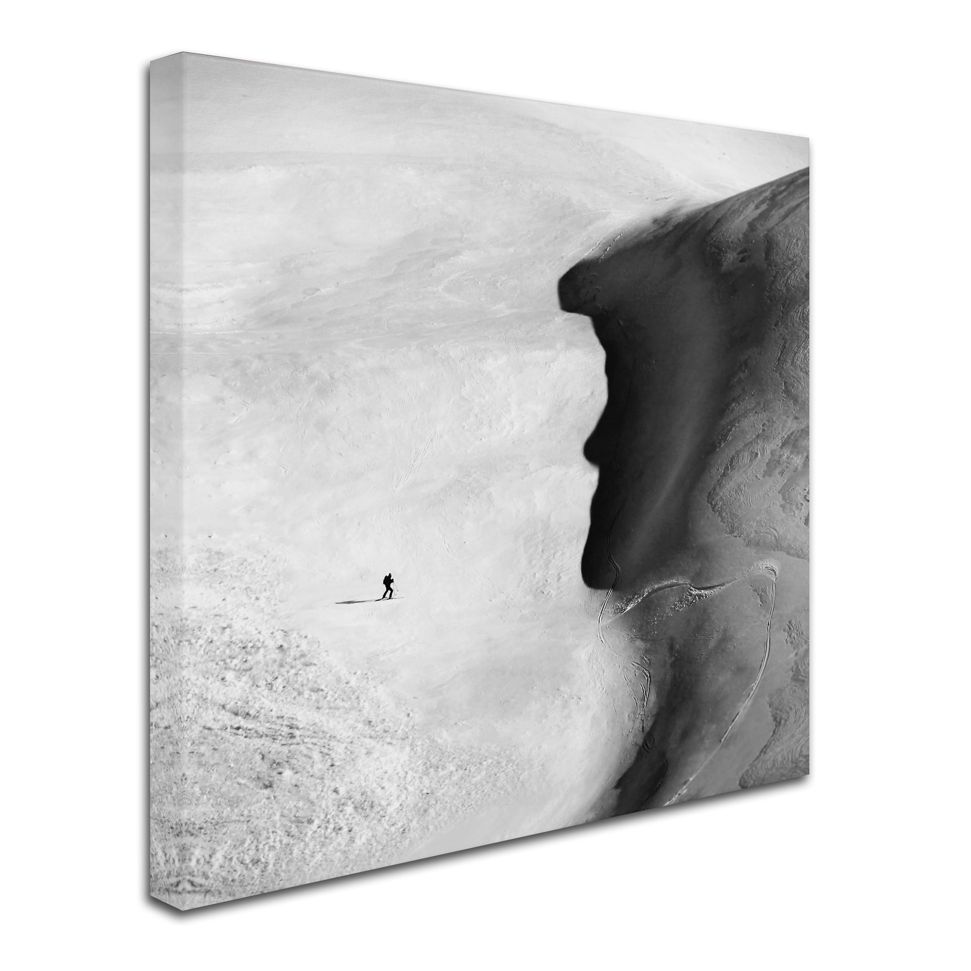 Trademark Fine Art 'Discussion' Canvas Art by Peter Svoboda