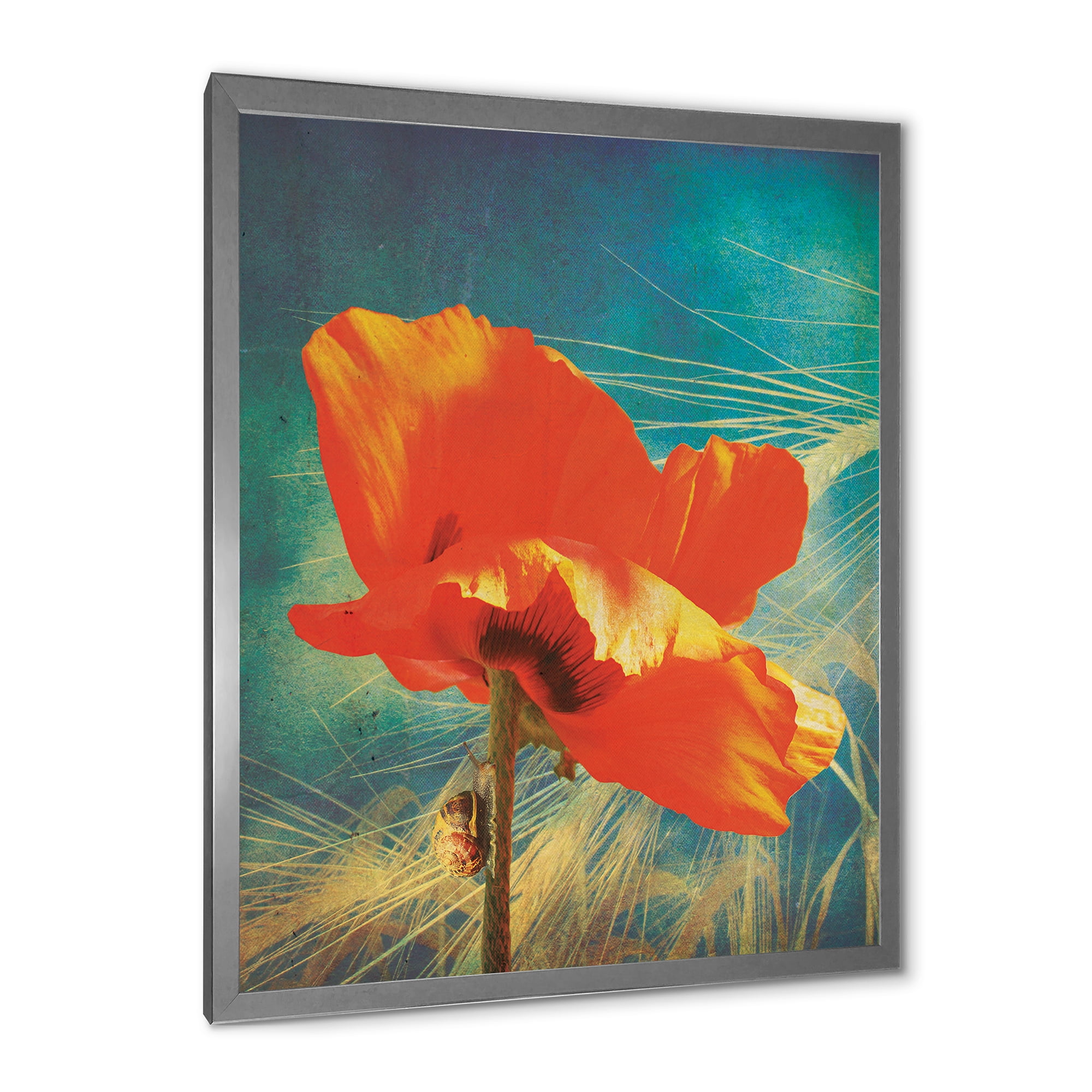 Designart 'Ancient Grunge Poppy' Traditional Framed Art Print