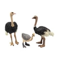 thumbnail image 4 of Figuras de modelos de pájaros animales Hugo coleccionables juguete educativo de aprendizaje decoración, 4 of 10