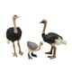 thumbnail image 4 of Figuras de modelos de pájaros animales Hugo coleccionables juguete educativo de aprendizaje decoración, 4 of 10