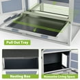 thumbnail image 6 of Chicken Coop Outdoor for Multiple  Chickens, Wooden Duck House with Run & Nesting Box, Waterproof Hutch with Pull-Clean Tray, Ramp, and Resting Area, Gray, 6 of 10