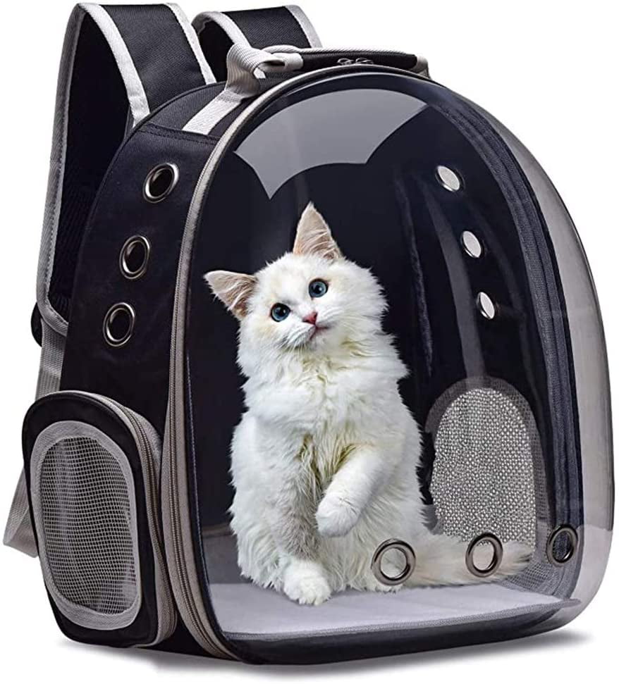 cat bubble backpack carrier