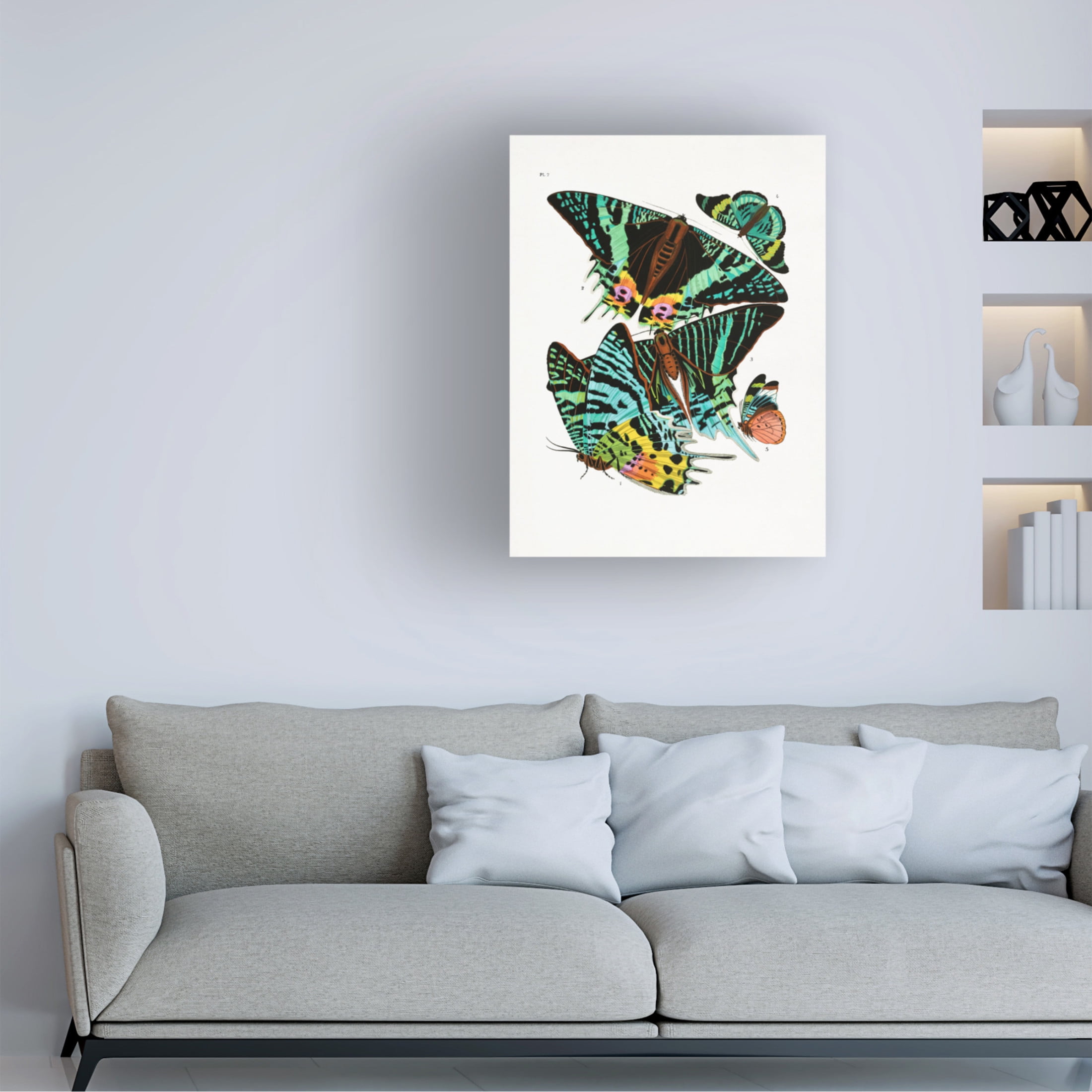 Trademark Fine Art Pictufy Butterflies 3 Canvas Wall Art