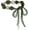 Olive Green, variant on Women's Bohemian Style Rope Braid Waist Belt U33