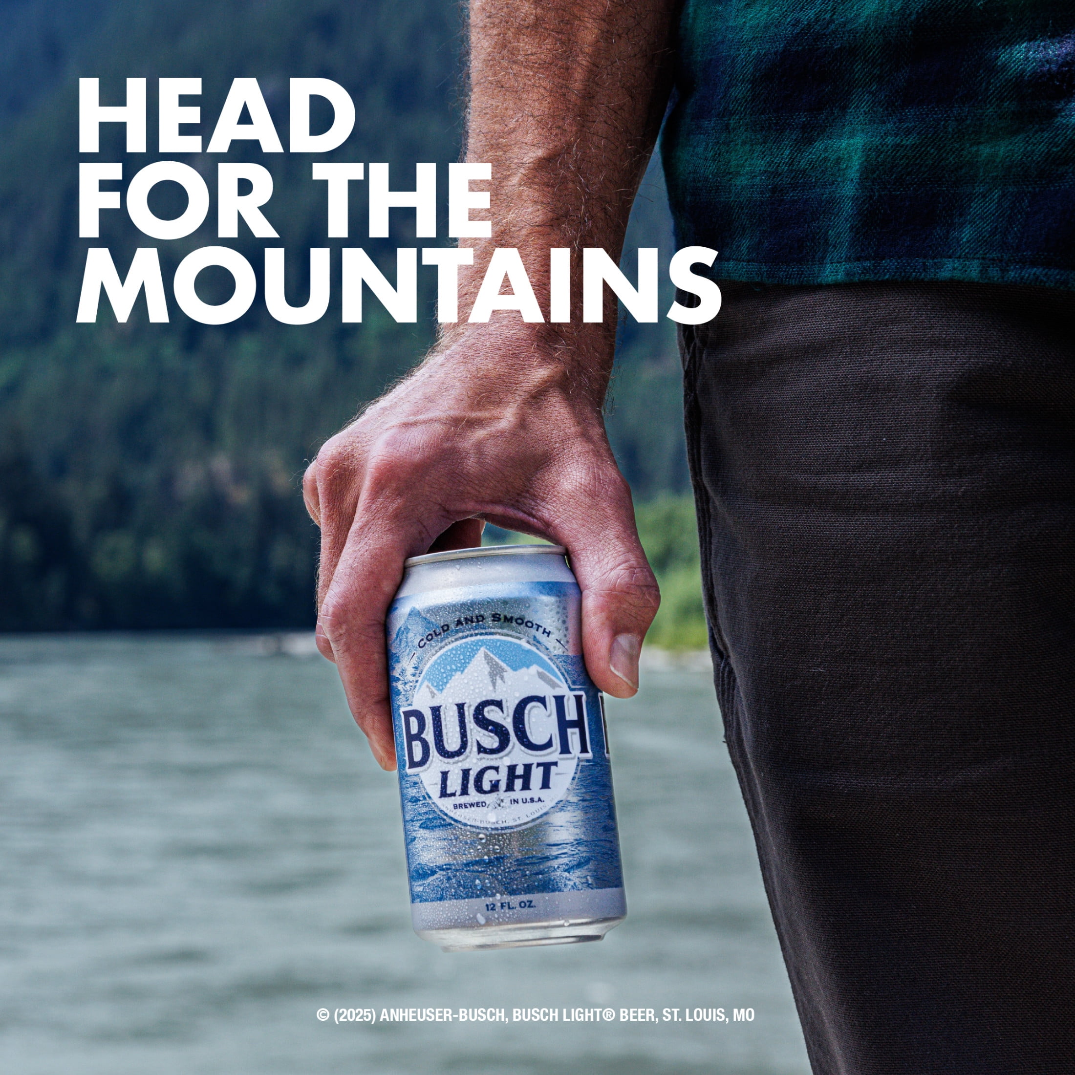 人気ビール 日本未発売 アメリカ BUSCH LIGHT ブッシュライト 30缶 Busch Light American Light Lager Beer 30 Pack 12 fl oz