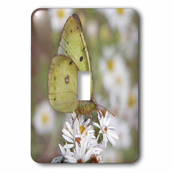 3dRose, Yellow Butterfly on Wild Daisies, single toggle switch