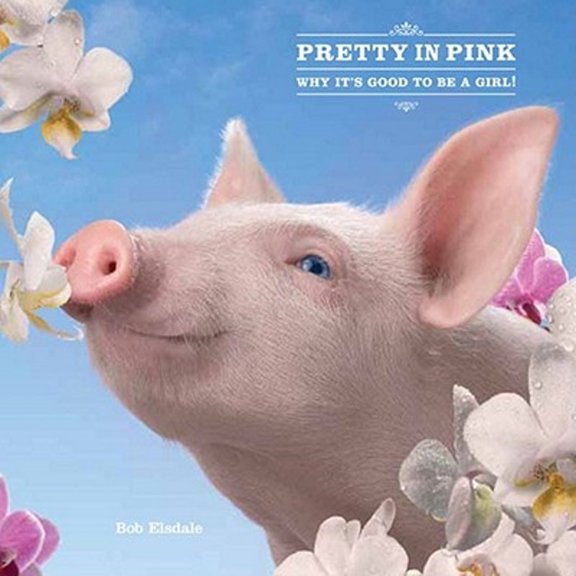 Pre-Owned Pretty in Pink: Why It's Good to Be a Girl! (Hardcover) 1449406580 9781449406585