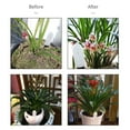 thumbnail image 3 of Labymos Testeur d'Humidité du Sol Détection Instantanée Testeur d'Humidité du Sol Jardin Plantes Fleurs Électronique, 3 of 8