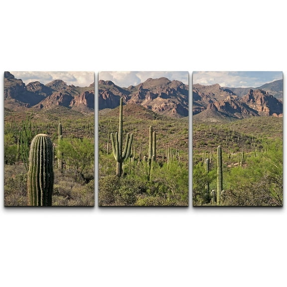 wall26 - 3 Piece Canvas Wall Art - Saguaros in Sonoran Desert. - Modern Home Art Stretched and Framed Ready to Hang - 24"x36"x3 Panels