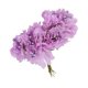 thumbnail image 2 of Bearachild 6/8/10/12/50/70/90 Uds. Mezcla de flores moradas cereza estambre bayas paquete DIY Navidad pastel de boda caja de regalo decoración de coronas Flores artificiales No.05 Bearachild HA002016-05, 2 of 6