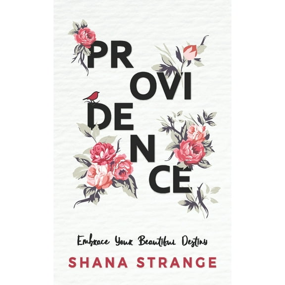 Providence : Embrace Your Beautiful Destiny (Paperback)