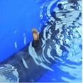 thumbnail image 5 of Heavy Duty Inner Tube, Universal Fit For Easy Installation, Premium Grade Rubber Construction Ensures Durability And Reliability In Outdoor Conditions, 5 of 5