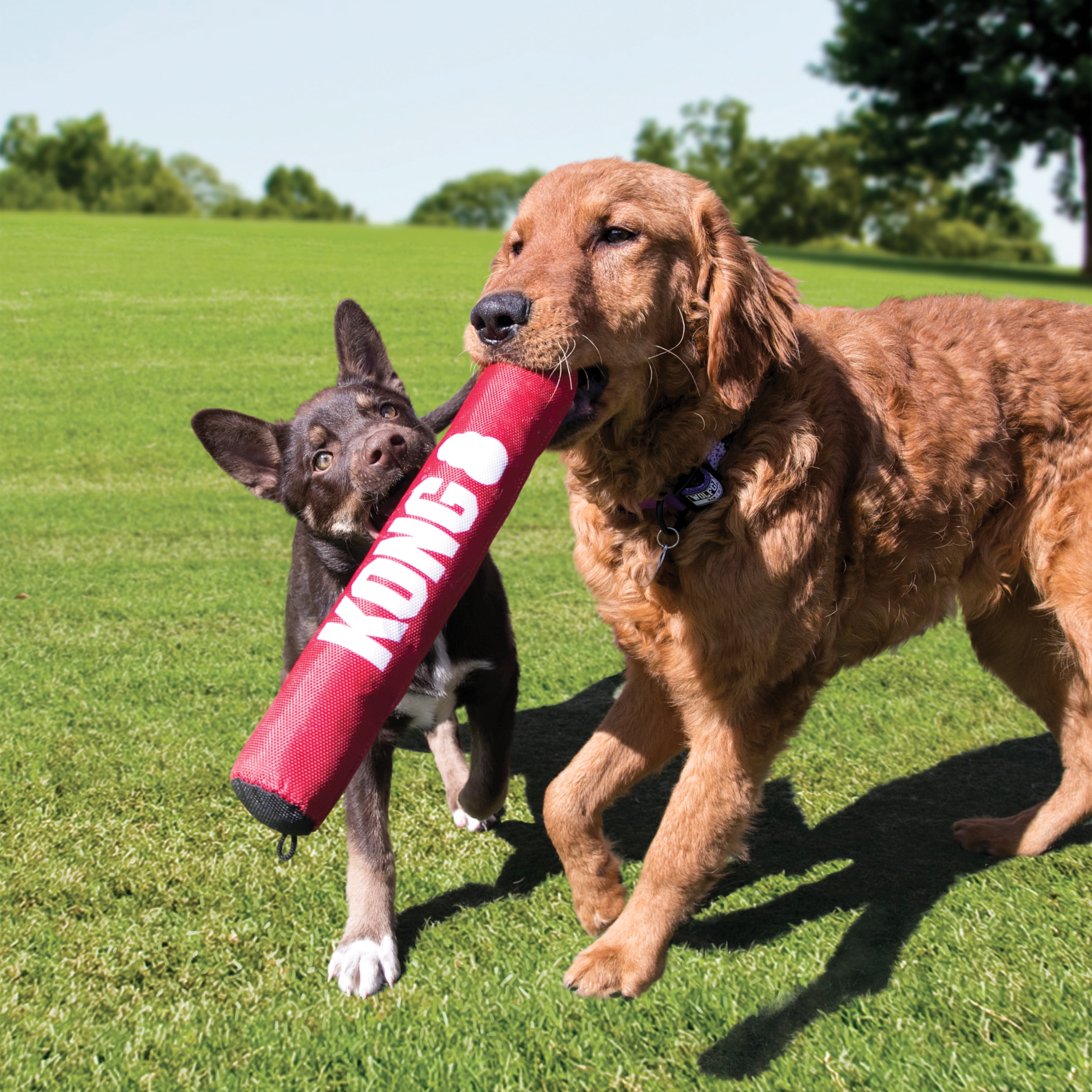 KONG® Signature Stick Soft Body Dog Toy, Medium