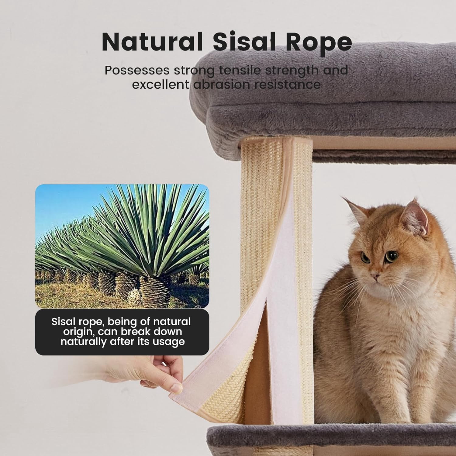 Nomipaw Cat Tree 65”, 6-level & Heavy Duty Cat Tower with Φ3.23in Posts, 2x Natural Sisal Scratching Posts(Replaceable), 2x Hammock, Condo and Washable Top Perches, For Indoor Cats, Gray
