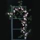thumbnail image 1 of Simulación de Enredaderas de Rosas Que Cuelgan Alrededor de La Ventana, Decoración Del Hogar, Refugio Decorativo, Ratán Muxiang, 1 of 6