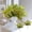 Yellow #3, variant on Artificial Plants Leaves Foliage Bush - 2 Pack Fake Plants Sprigs with Variegated Leaves for Home Kitchen Office Decor, Plastic Greenery for Wedding Party Garden Arrangement, 13.78 Inch