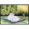 thumbnail image 1 of Carolines Treasures SS8273JMAT Paillasson pour Chat Intérieur Ou Extérieur - 24 x 36 Po., 1 of 4