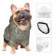 thumbnail image 3 of Balery Dachshund Dog Bird Sudadera con Capucha para Perros Pequeños – Ropa para Mascotas, Disfraz para Perros y Gatos, Ideal para Fiestas y Cosplay-Small, 3 of 7