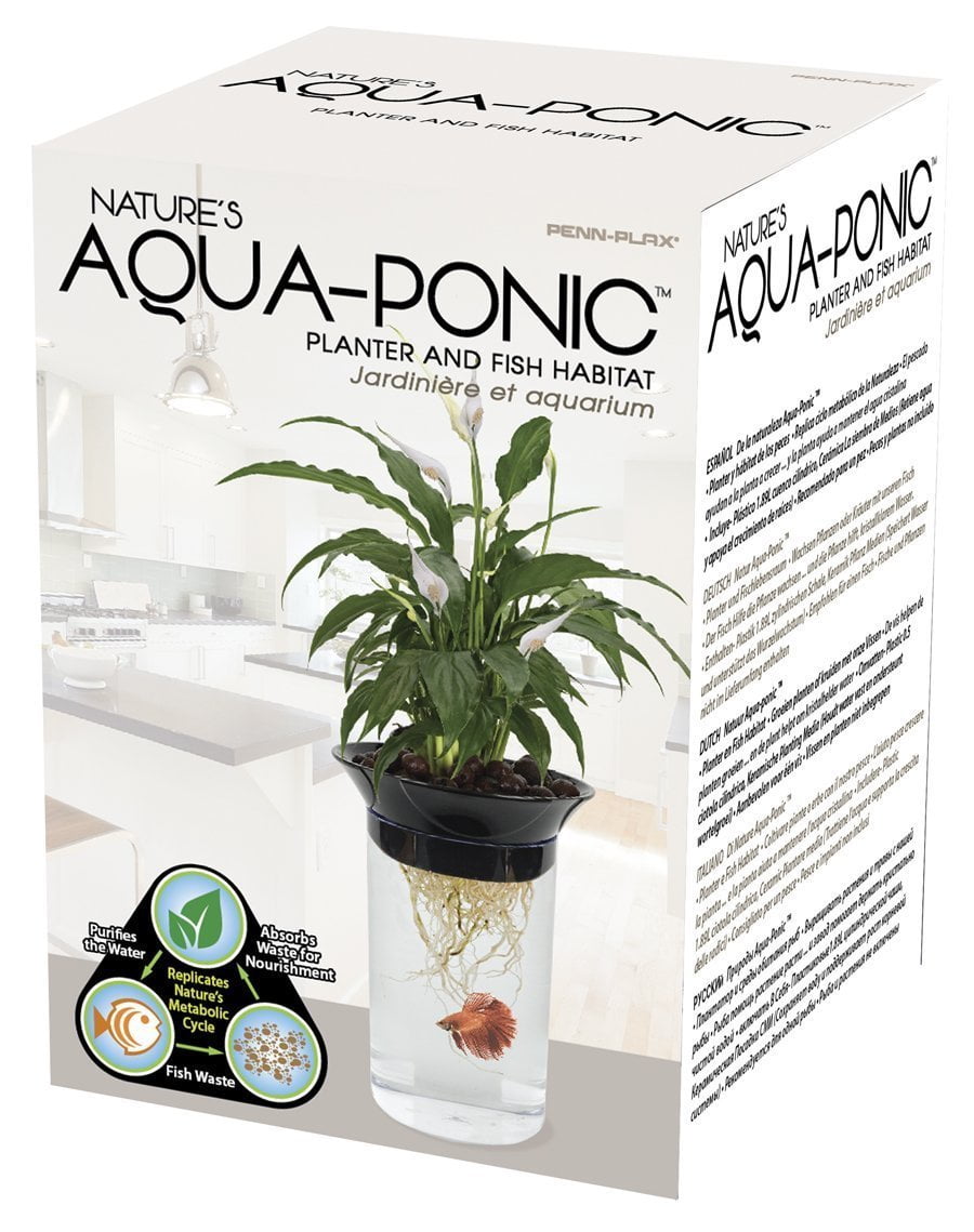 aquaponics fish bowl