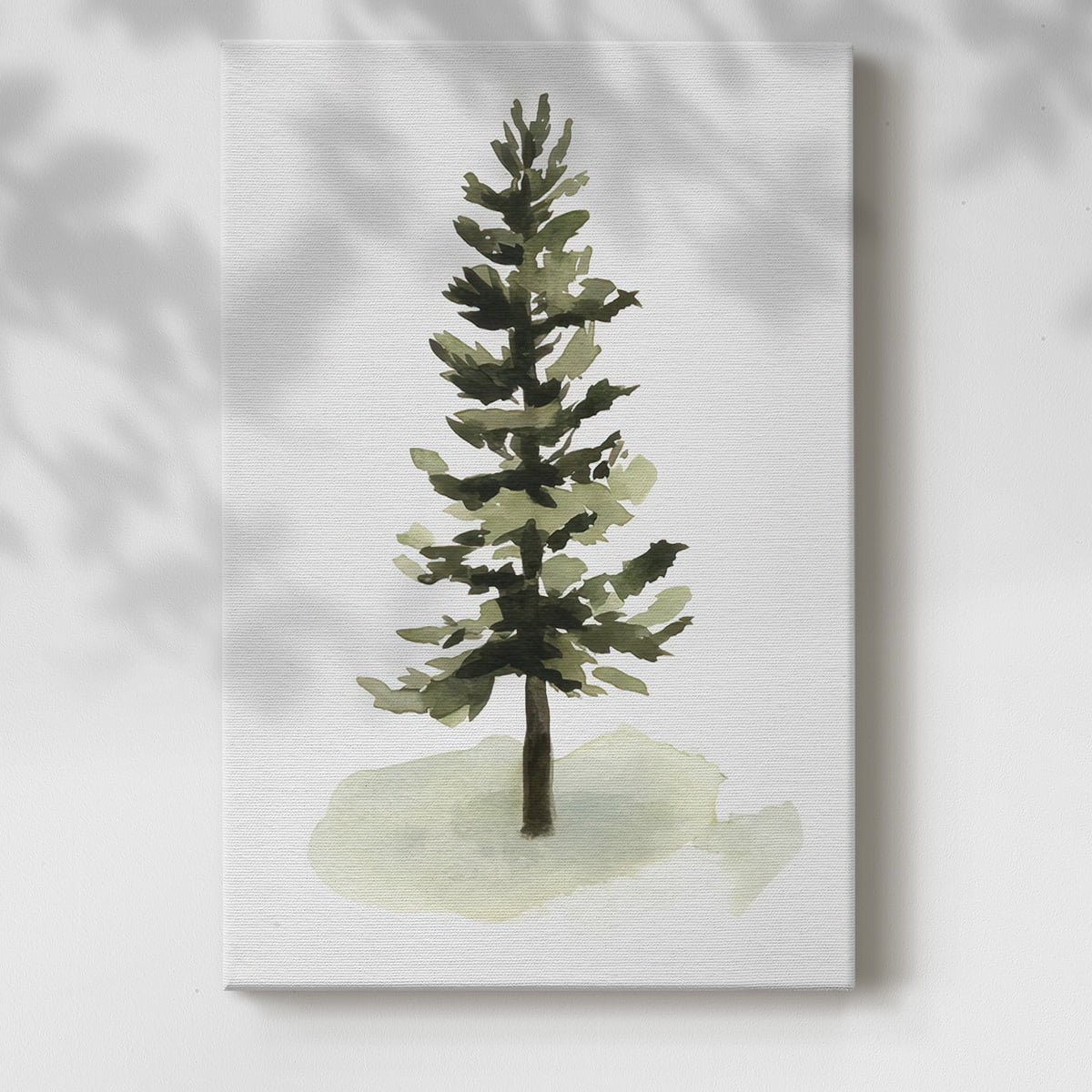Watercolor Pine II- Gallery Wrapped Canvas
