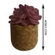 thumbnail image 2 of Accesorios Para Coches Productos 3D Artificial Plants Shape Aromatherapy Vent Car Love Breath Stone Creative Perfume Car Diffuser Perfume Clip Conditioning Car Interior Accessories 1pc, 2 of 4