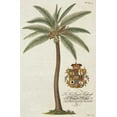 thumbnail image 2 of Ehret, Georg 13x18 Gold Ornate Wood Framed with Double Matting Museum Art Print Titled - Coconut Palm, 2 of 4