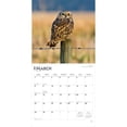 thumbnail image 3 of Owls | 2026 12x24" (Hanging) Square Wall Calendar | Plastic-Free, 3 of 9