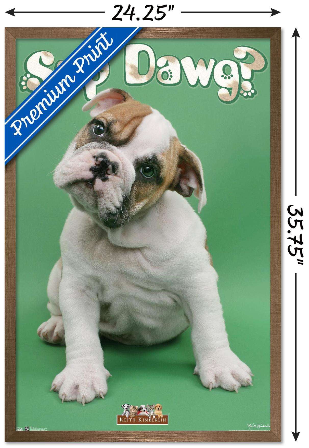 Keith Kimberlin - Sup Dawg Wall Poster, 22.375" x 34", Framed