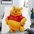 thumbnail image 6 of Cute Winnie the Pooh Soft Cozy Luxury Couch Blanket Home Decor Bedding Warm Fuzzy Blanket for Couch, Kids Bed and Sofa, 6 of 10