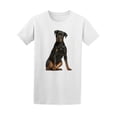 thumbnail image 2 of Rottweiler Dog Confused T-Shirt Men -Image by Shutterstock, Male 4X-Large, 2 of 4