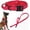 Red SET(collar+leash), variant on Tactical Dog Collar Military Dog Collar Adjustable Nylon Dog Collar Heavy Duty Metal Buckle with Handle for Dog Training (Red,L)
