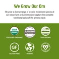 thumbnail image 4 of Suplemento OM Mushroom Superfood Matcha Latte, 250 ml, 30 porciones, 4 of 8