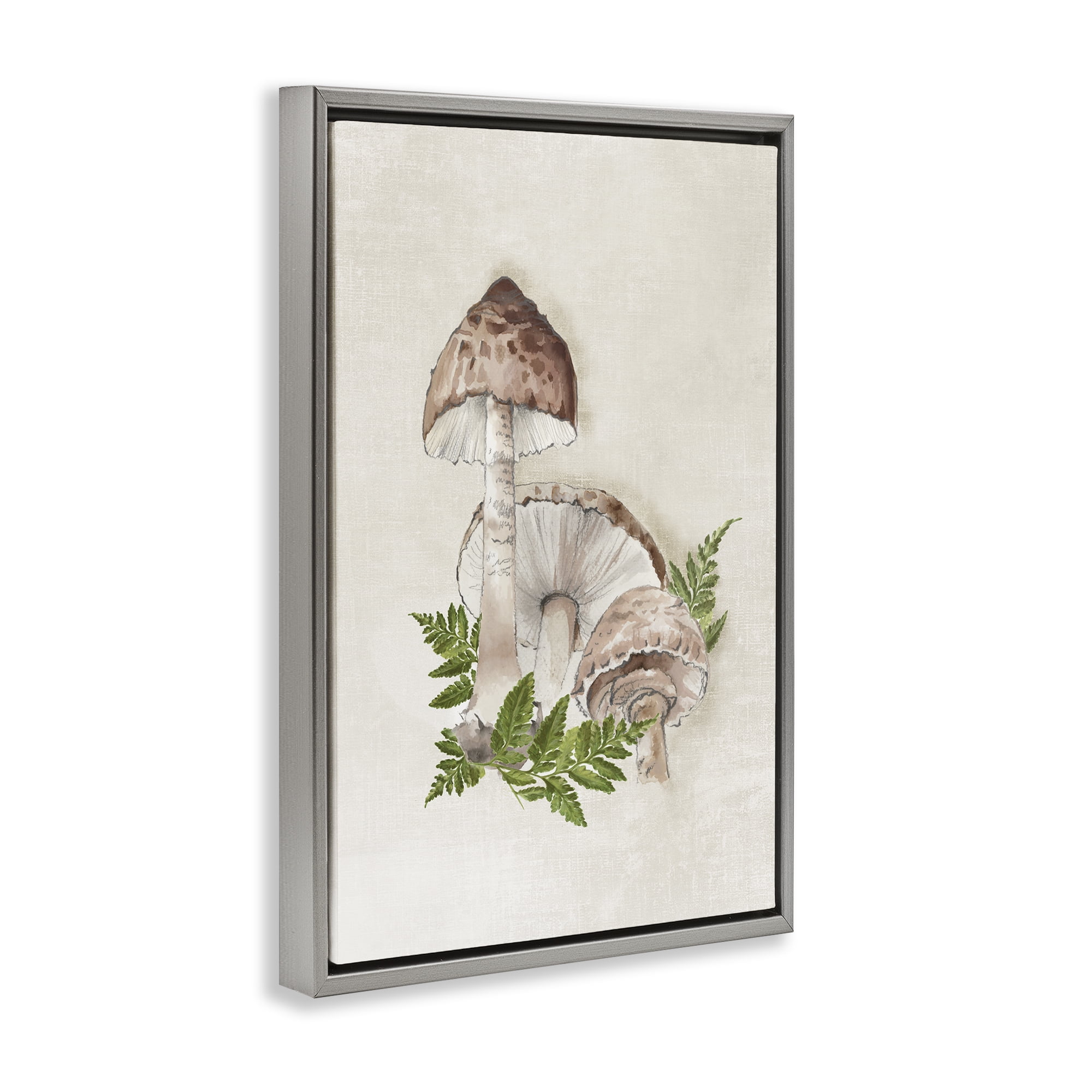 Stupell Industries Beige Mushrooms & Fern Plants & Flowers Painting Gray Floater Framed Canvas Art Print Wall Art, 17 x 25