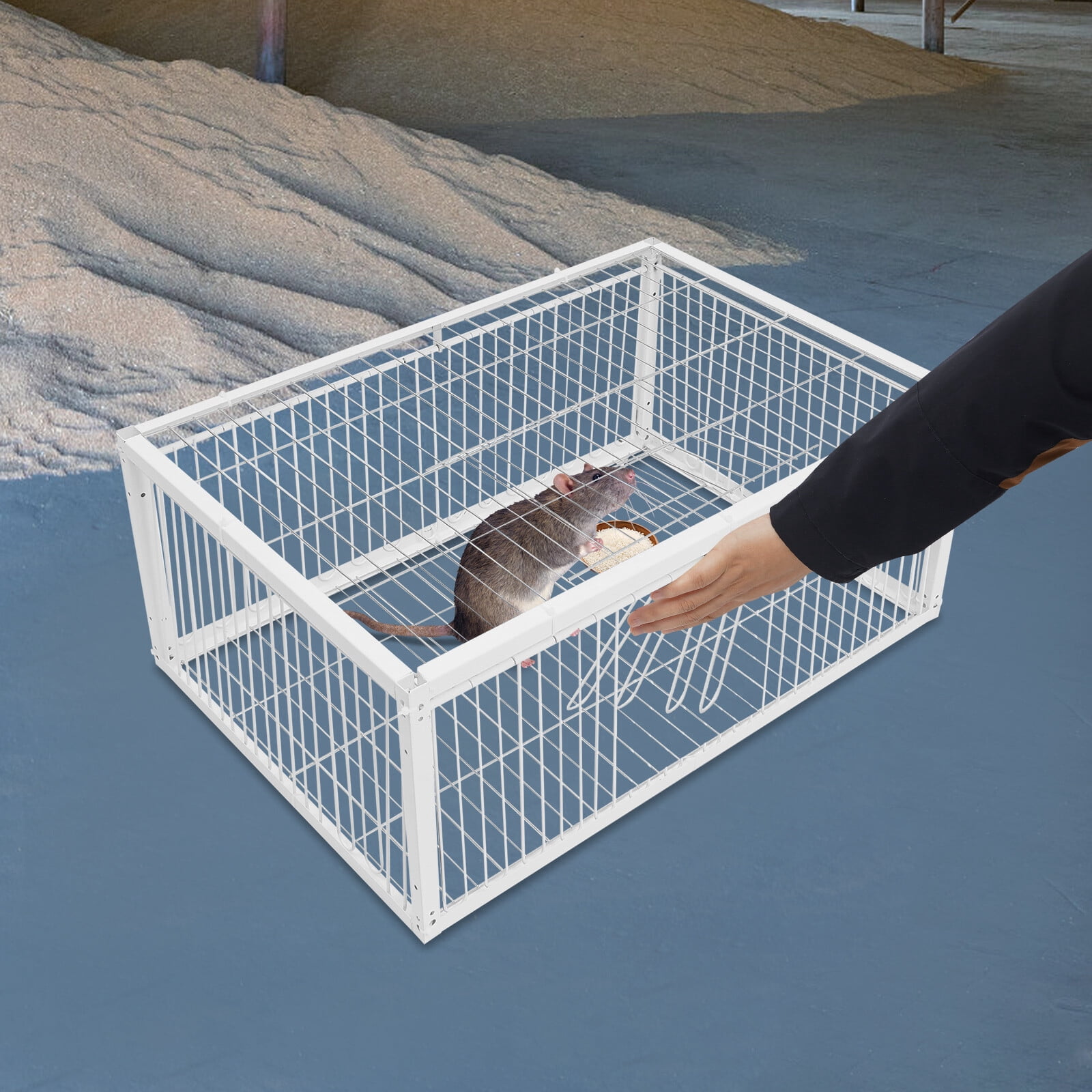 White Pigeon Cage Iron 4-Doors Rectangle Bird Cage one-way door for pigeons Used In Courtyards, Balconies, Lawns, Woods