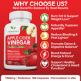 thumbnail image 4 of 1950mg Apple Cider Vinegar Capsules for Weight Loss, Tasteless 180 Capsules - Metabolism & Detox Support by Dr Martin's Nutrition, 4 of 10