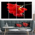 thumbnail image 1 of Freesia Flower on Black Background - Large Floral Canvas Artwork, 1 of 4