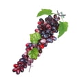 thumbnail image 4 of Uva artificial simulación fruta fotografía instantánea uva falsa boceto práctica utilería, color ágata Inevent HA8461-03B, 4 of 7