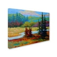 thumbnail image 2 of Trademark Fine Art 'Ak Landscape' Canvas Art by Marion Rose, 2 of 3
