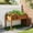 Brown, variant on Atilioo Wooden Raised Garden Bed with Legs, 48x24x30 Inch Elevated Reinforced Planter Box for Backyard, Patio, Balcony w/ Liner, Brown